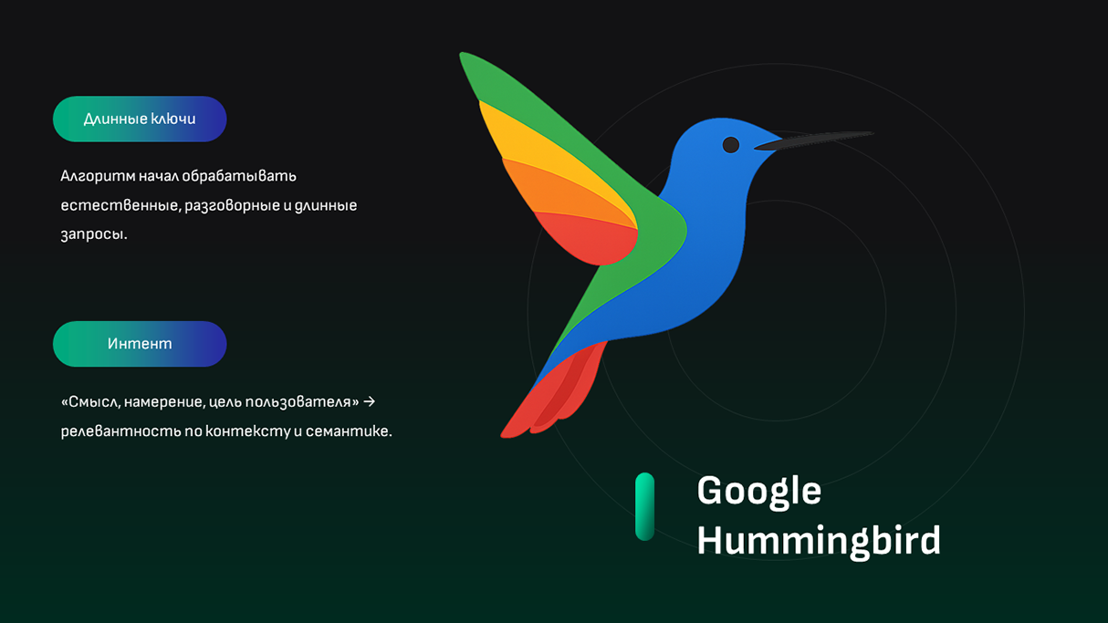 Алгоритм ранжирования Google Hummingbird — инфографика